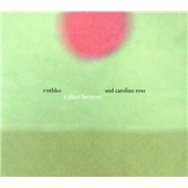 Darkness at Noon [LP]