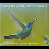 J.S.Bach: Brandenburg Concertos J.S.Bach: Brandenburg Concertos