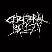 Better In Leather Better In Leather