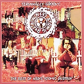 Terminally Groovy: The Best Of Ned's Atomic Dustbin