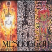 Destroy Erase Improve Destroy Erase Improve