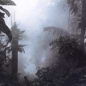 Dissolution III Dissolution III