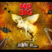 Mr. Big/ホワット・イフ… ［CD+DVD］＜限定盤＞