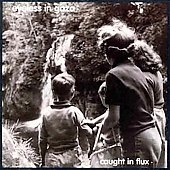 Caught In Flux Caught In Flux