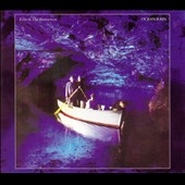 Echo & The Bunnymen/Ocean Rain (180Gram Black Vinyl)