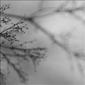 What Matters Most What Matters Most