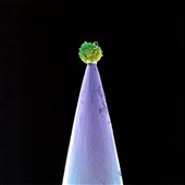 New Blood : Special Edition New Blood : Special Edition