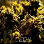 Kushbush + Music for Grass Bars: Special Edition Kushbush + Music for Grass Bars: Special Edition