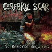 TOWER RECORDS ONLINE㤨Cerebral Scar/No Remorse Required[MTCD9978]פβǤʤ1,290ߤˤʤޤ