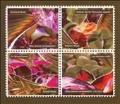 Van Appledorn: Terrestrial Music, etc; Weber, Keats Van Appledorn: Terrestrial Music, etc; Weber, Keats