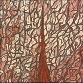 Kino III: Xaman Kino III: Xaman