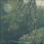 Lignin Poise * Lignin Poise *