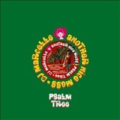 Psalm Tree Psalm Tree