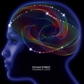 TOWER RECORDS ONLINE㤨Sylvan Street/Feedback Loop[DCD667]פβǤʤ2,390ߤˤʤޤ