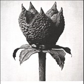 Book Of Life Book Of Life