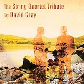 The String Quartet Tribute To David Gray