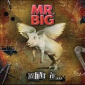 Mr. Big/ホワット・イフ… ［CD+DVD］＜限定盤＞