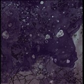 TOWER RECORDS ONLINE㤨Pinkish Black/Razed to the Ground[CMA90242]פβǤʤ2,490ߤˤʤޤ