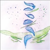 TOWER RECORDS ONLINE㤨Fis/Iterations[A55134]פβǤʤ3,190ߤˤʤޤ