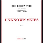 Unknown Skies
