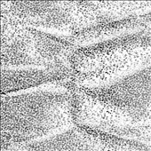 Temporary Mutilation 