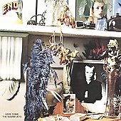 Brian Eno/ヒア・カム・ザ・ウォーム・ジェッツ