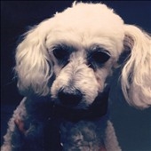 Look Mom No Brains  *