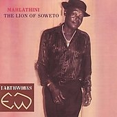 The Lion of Soweto The Lion of Soweto