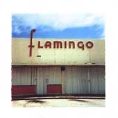 Flamingo
