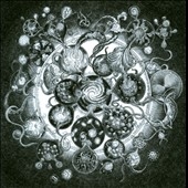 Long Distance Calling