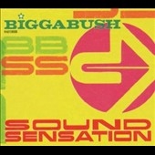 Sound Sensation Mixed By Biggabush