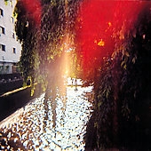 Hisato Higuchi/Butterfly Horse Street[FV53]