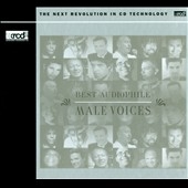 Best Audiophile Male Voices