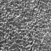 Glitter in My Tears Glitter in My Tears