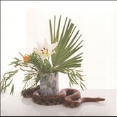 White Noise White Noise