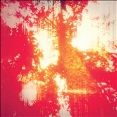 Hard Boiled Soft Boiled Hard Boiled Soft Boiled