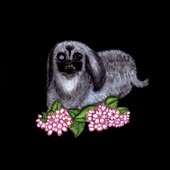 TOWER RECORDS ONLINE㤨Guadalupe Plata/Guadalupe Plata 2017[EVGCD117]פβǤʤ3,190ߤˤʤޤ