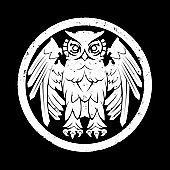 Underneath The Owl [LP] [5/5] *