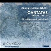 J.S.バッハ:カンタータ第146番、第33番、第103番 J.S.バッハ:カンタータ第146番、第33番、第103番