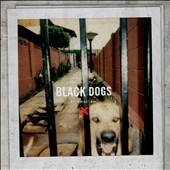 Black Dogs 