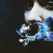 Reaching for Indigo Reaching for Indigo