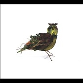 TOWER RECORDS ONLINE㤨Tallest Trees/The Ostrich Or The Lark[OELC262]פβǤʤ2,690ߤˤʤޤ