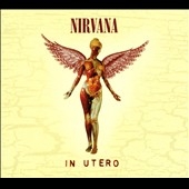 Nirvana/In Utero (30th Anniversary)(Super Deluxe Edition)