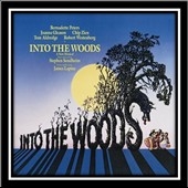 Into the Woods  
