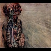 Fear And The Nervous System Fear And The Nervous System