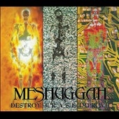 Destroy Erase Improve＜限定盤＞