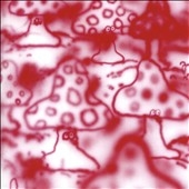 Remember the Life Is Beautiful *