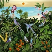 Sketches From An Island 2 Sketches From An Island 2