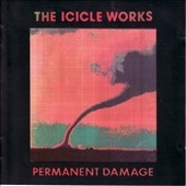 Permanent Damage Permanent Damage