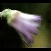 Hollywood Under the Knife